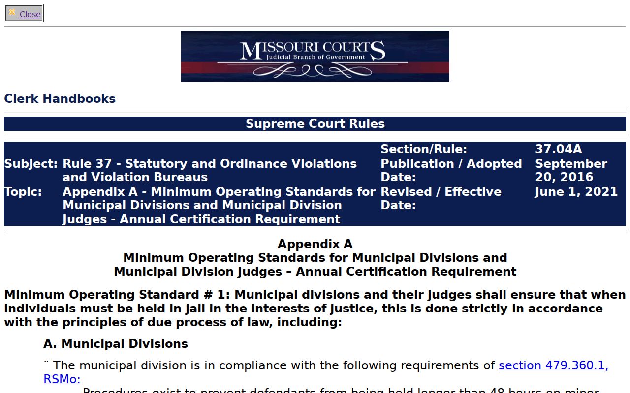 Mountain View court docket Rule 37.04 municipal appendix access requirements